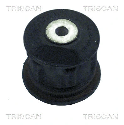 Bushing, axle beam (8500 16815)
