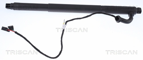 Gas Spring, boot/cargo area (8710 11301)