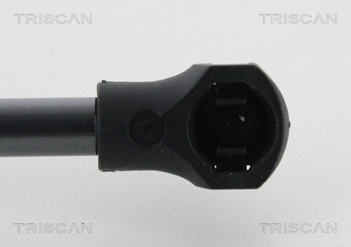 Gas Spring, boot/cargo area