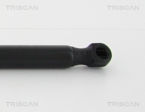 Gas Spring, boot/cargo area