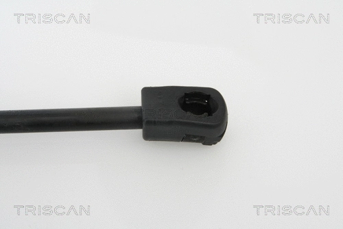 Gas Spring, bonnet
