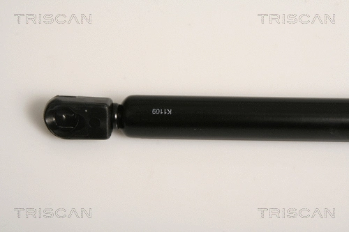 Gas Spring, boot/cargo area