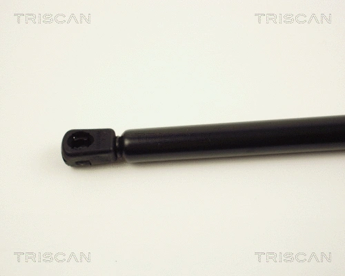 Gas Spring, boot/cargo area