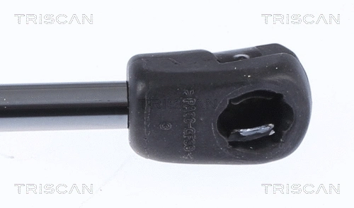 Gas Spring, boot/cargo area