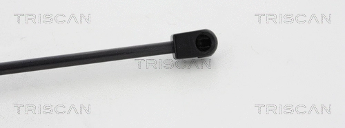 Gas Spring, boot/cargo area