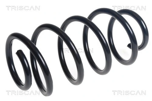 Suspension Spring (8750 16131)