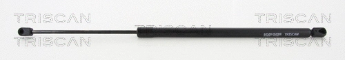 Gas Spring, boot/cargo area