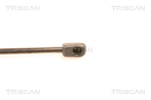 Gas Spring, boot/cargo area