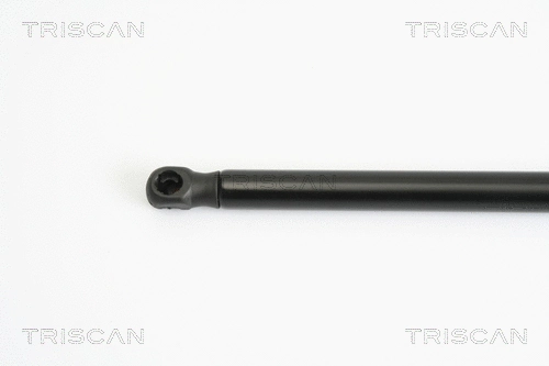 Gas Spring, boot/cargo area
