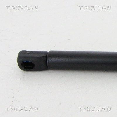 Gas Spring, boot/cargo area