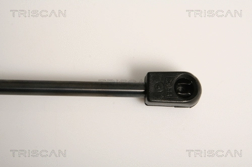 Gas Spring, boot/cargo area