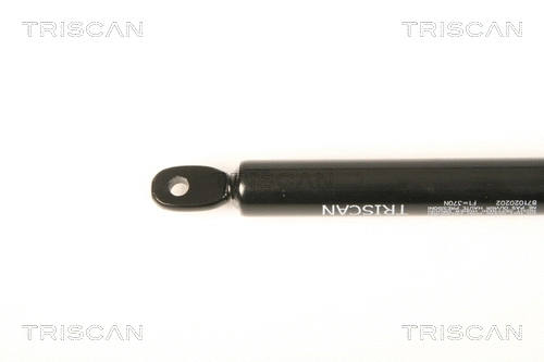Gas Spring, boot/cargo area
