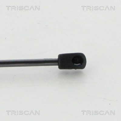 Gas Spring, boot/cargo area