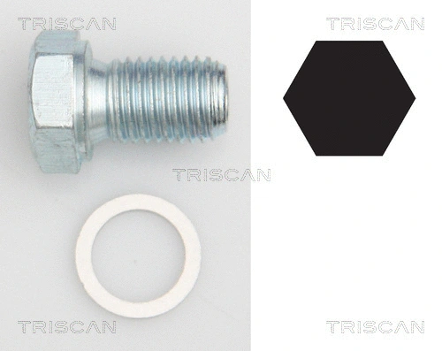 Screw Plug, oil sump (9500 1101)
