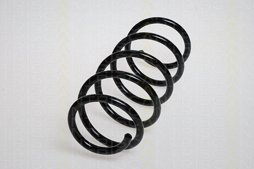 Suspension Spring (8750 24138)