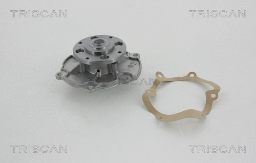 Water Pump, engine cooling (8600 10029)