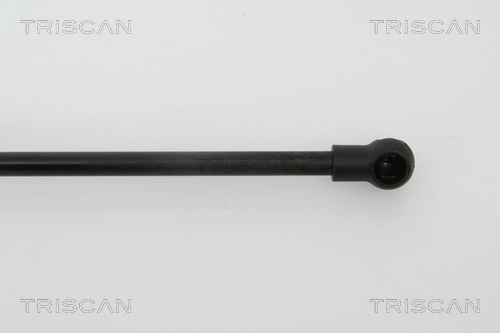 Gas Spring, boot/cargo area