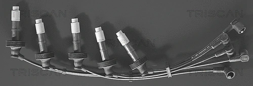 Ignition Cable Kit (8860 6469)
