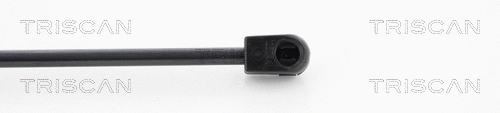 Gas Spring, boot/cargo area