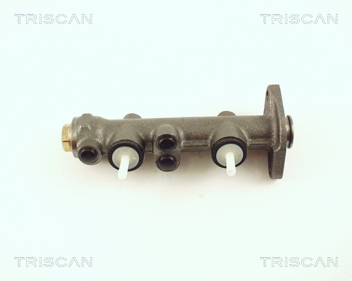 Brake Master Cylinder (8130 70100)