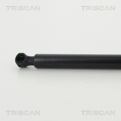 Gas Spring, boot/cargo area