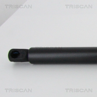 Gas Spring, boot/cargo area