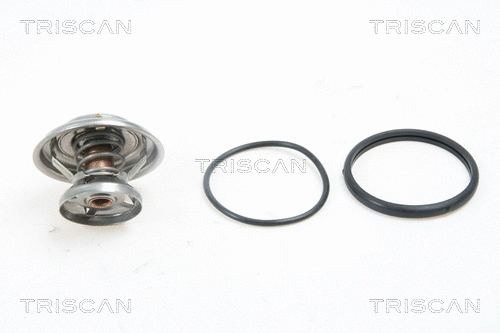 Thermostat, coolant (8620 5385)