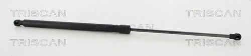 Gas Spring, boot/cargo area (8710 50260)