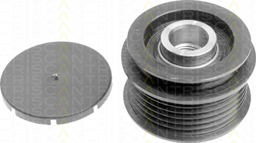 Alternator Freewheel Clutch (8641 294008)