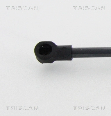 Gas Spring, boot/cargo area