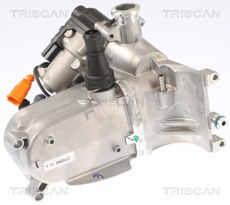 EGR Valve