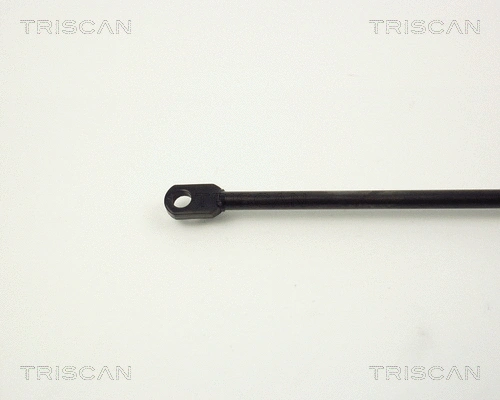 Gas Spring, boot/cargo area