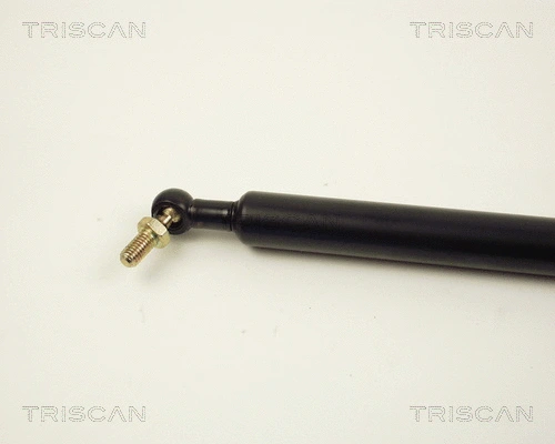 Gas Spring, boot/cargo area