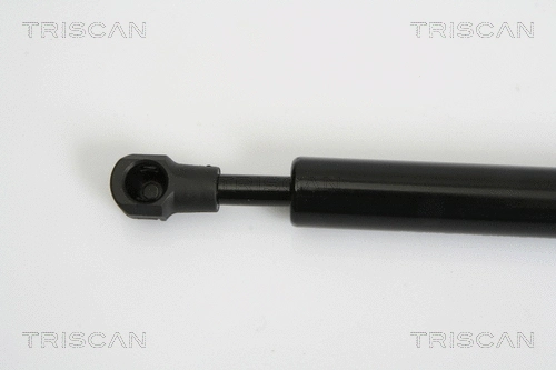 Gas Spring, boot/cargo area