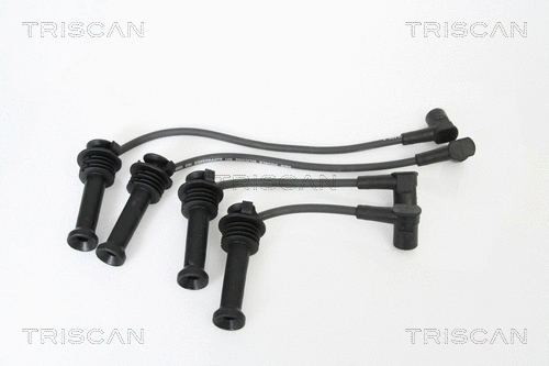Ignition Cable Kit (8860 16009)