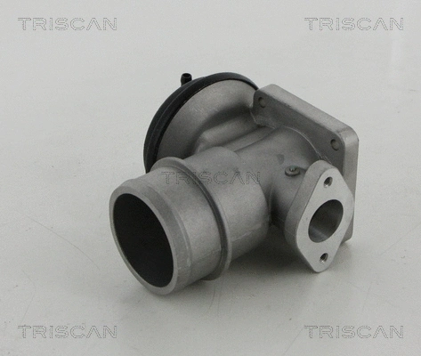 EGR Valve (8813 44030)