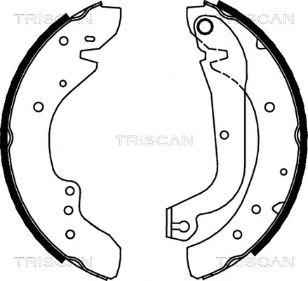 Brake Shoe Set (8100 10577)