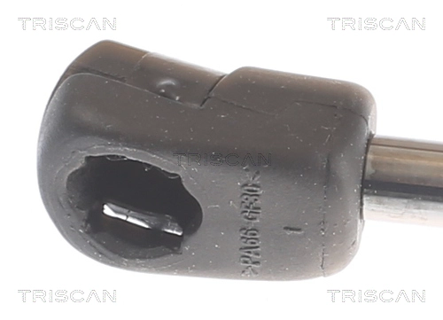Gas Spring, bonnet