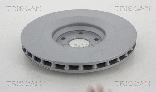 Brake Disc (8120 291036C)