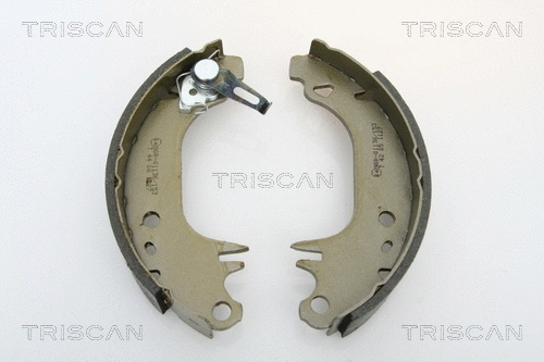 Brake Shoe Set (8100 10006)