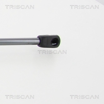 Gas Spring, boot/cargo area