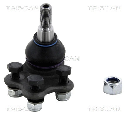 Ball Joint (8500 17519)
