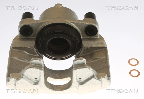 Brake Caliper (8175 10121)