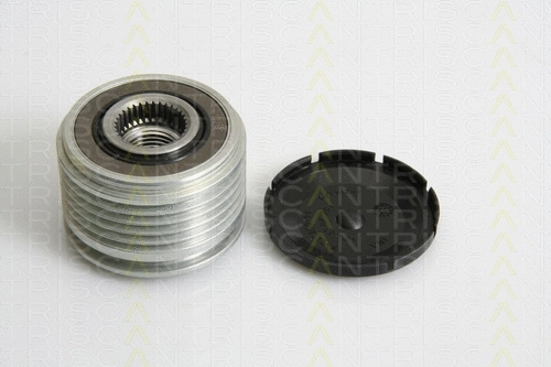 Alternator Freewheel Clutch (8641 234018)