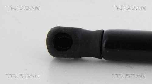 Gas Spring, boot/cargo area