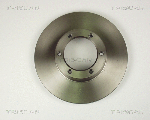 Brake Disc (8120 25113)