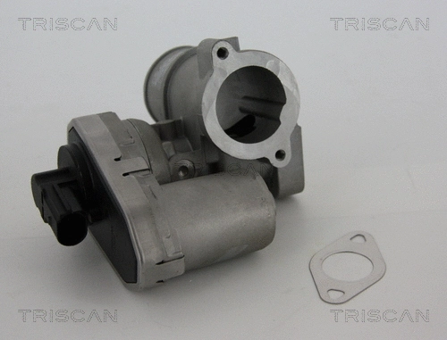 EGR Valve