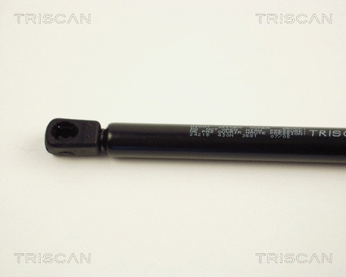 Gas Spring, boot/cargo area