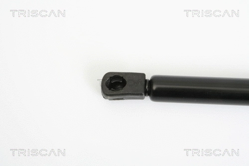 Gas Spring, boot/cargo area