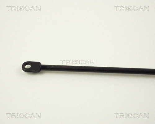 Gas Spring, boot/cargo area